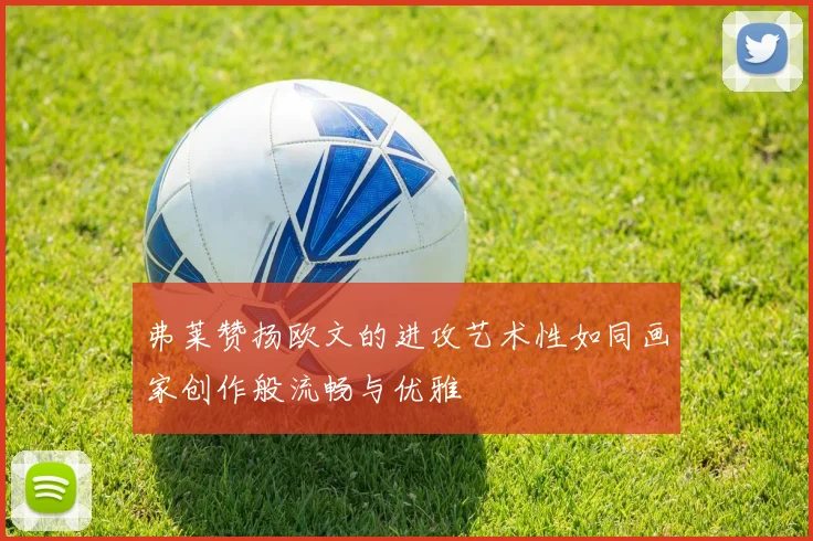 弗莱赞扬欧文的进攻艺术性如同画家创作般流畅与优雅
