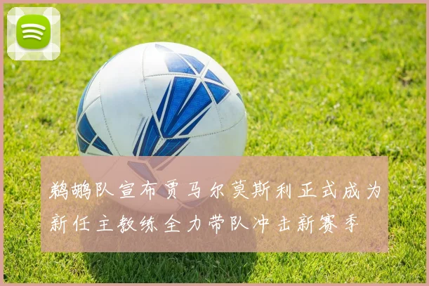 鹈鹕队宣布贾马尔莫斯利正式成为新任主教练全力带队冲击新赛季